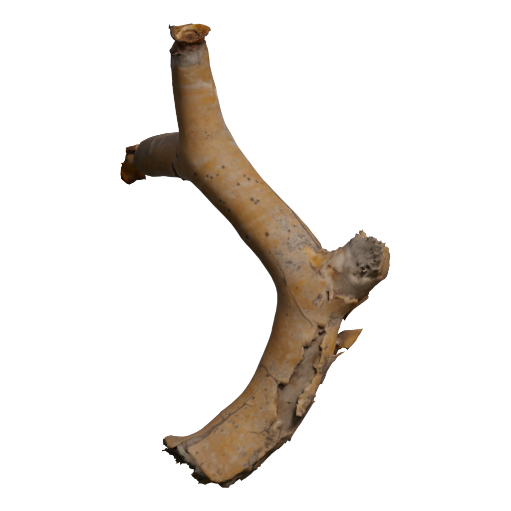 Back view of the Dead Quiver Branch 3D model