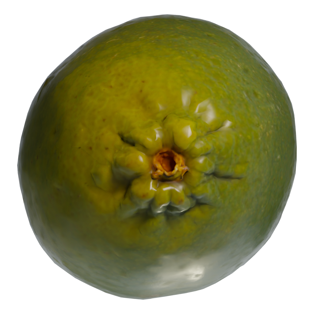 Top view of the Lime 3D model