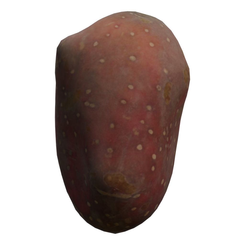 Left view of the Sweet Potato 3D model