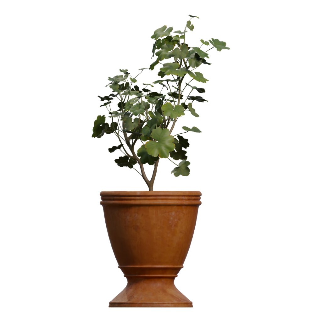 Left view of the Potted Plant 3D model