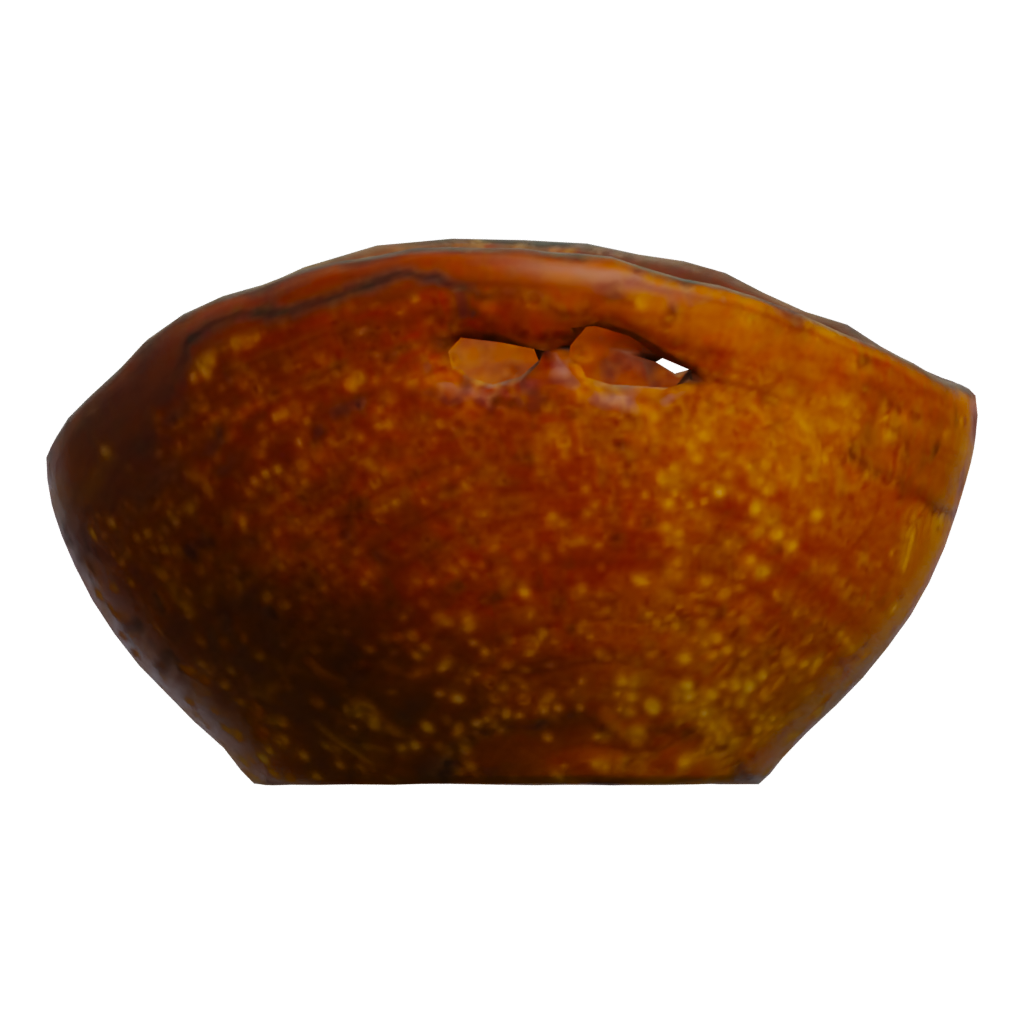 Right view of the Wooden Bowl 3D model
