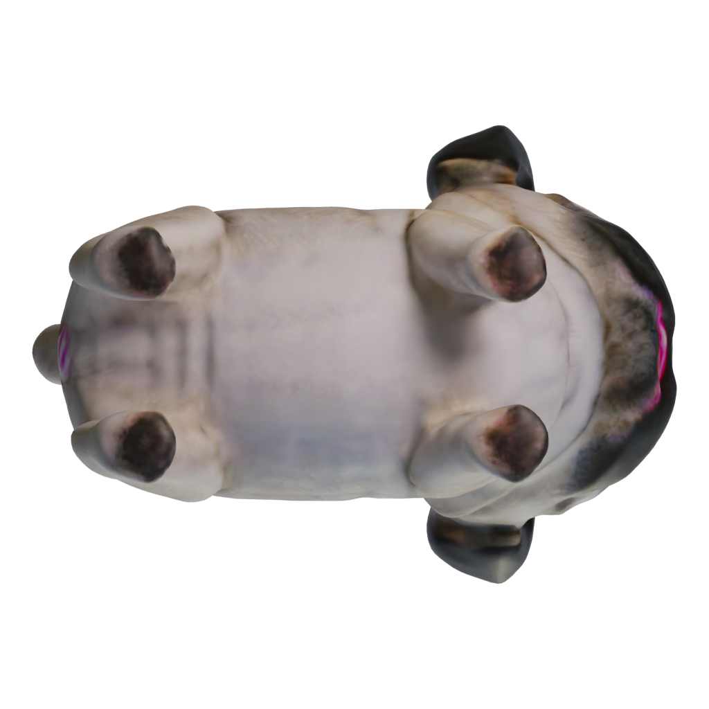 Bottom view of the Mopspen 3D model