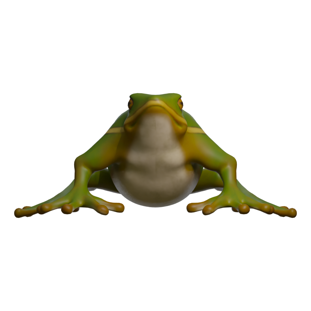 Front view of the Frog 3D model