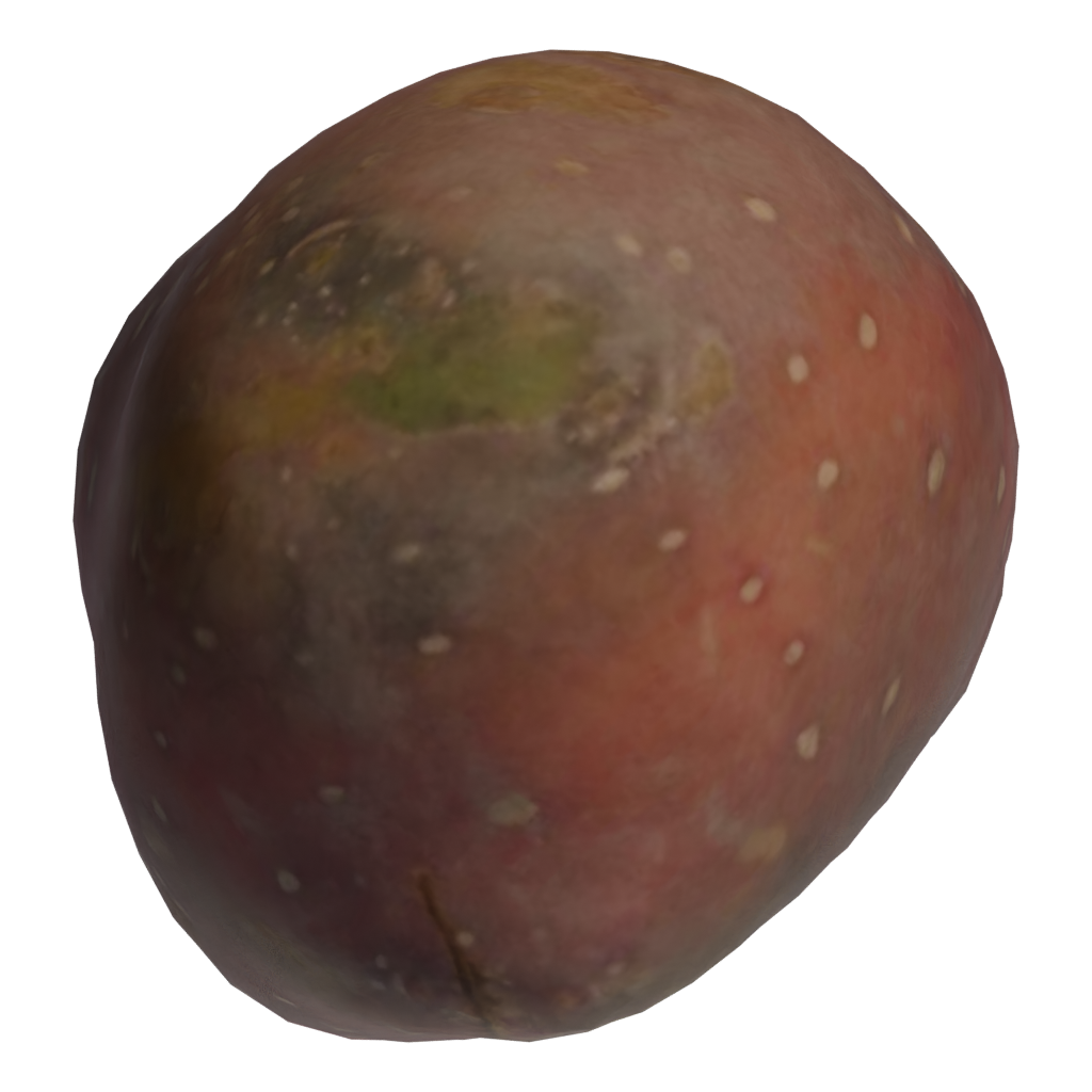 Top view of the Sweet Potato 3D model