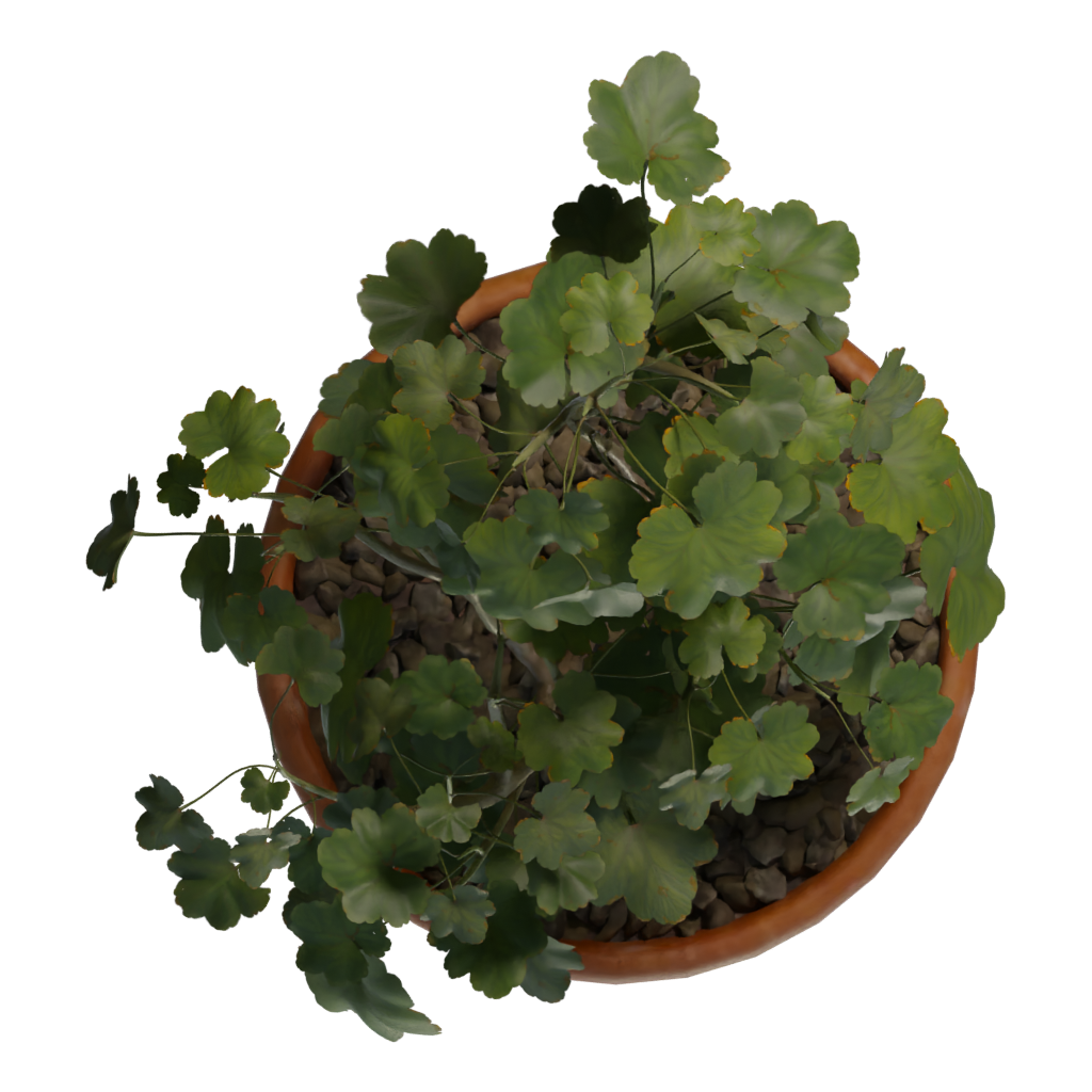 Top view of the Potted Plant 3D model