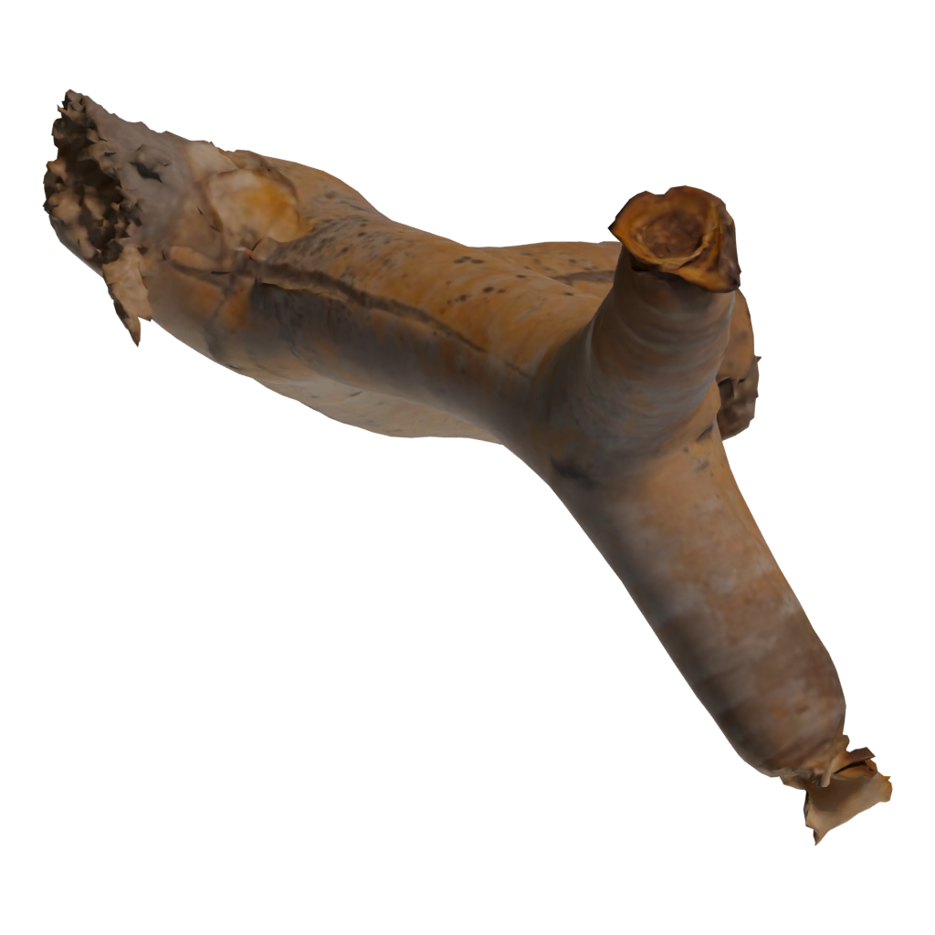 Top view of the Dead Quiver Branch 3D model