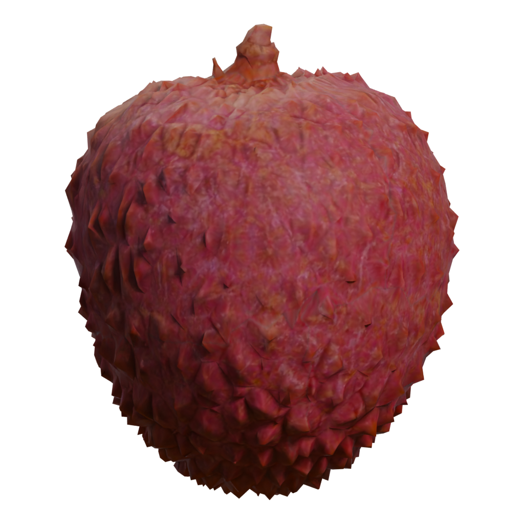 Left view of the Lychee 3D model