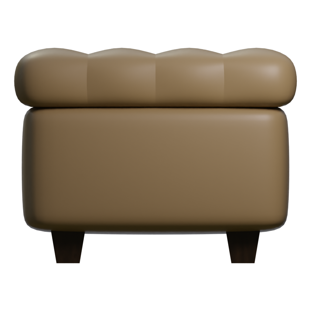 Left view of the Leather Pouf Sofa 3D model