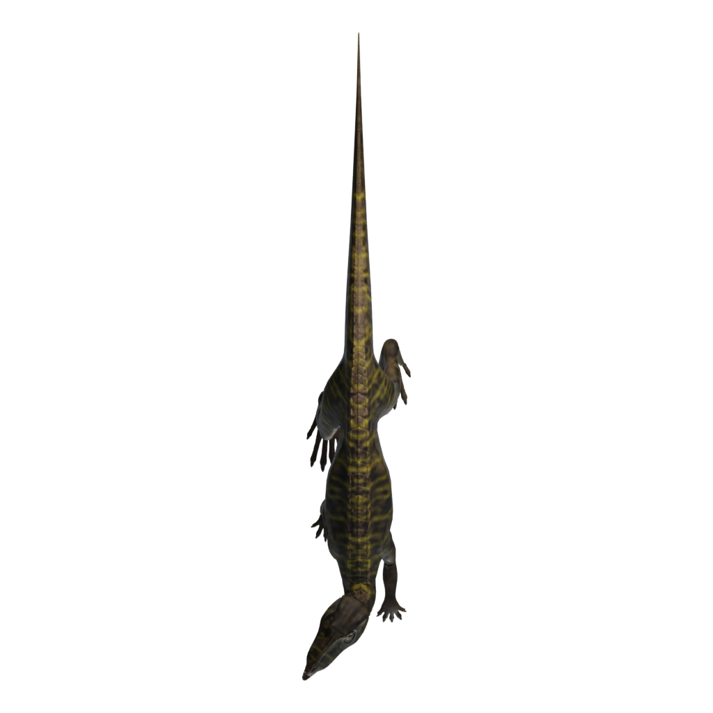 Top view of the Alien T Rex 3D model