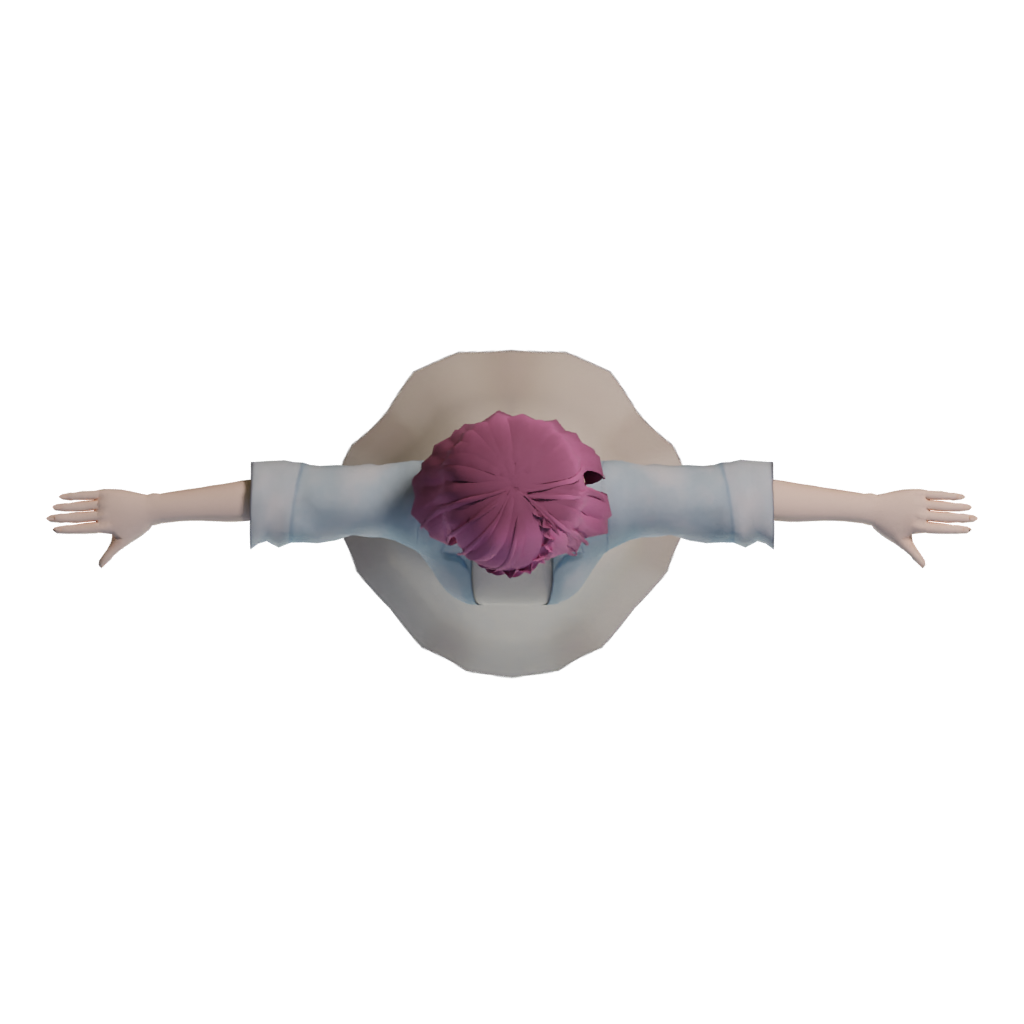 Top view of the Toony Cartoon Female Character 3D model