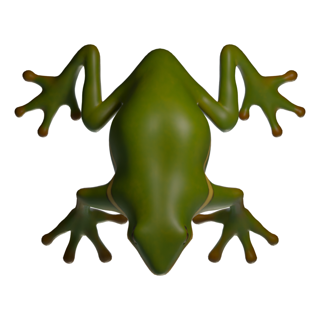 Top view of the Frog 3D model