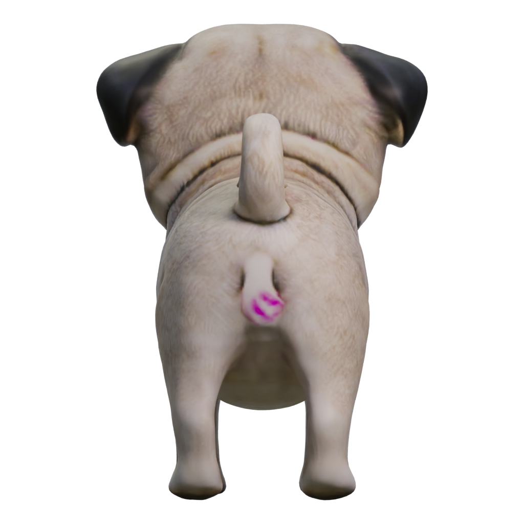 Right view of the Mopspen 3D model