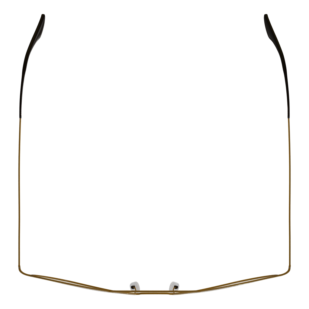 Top view of the Rayban 3D model