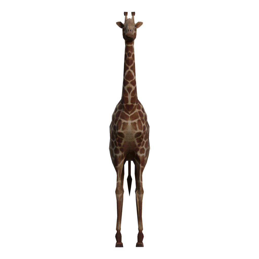 Right view of the Rigged Giraffe 3D model