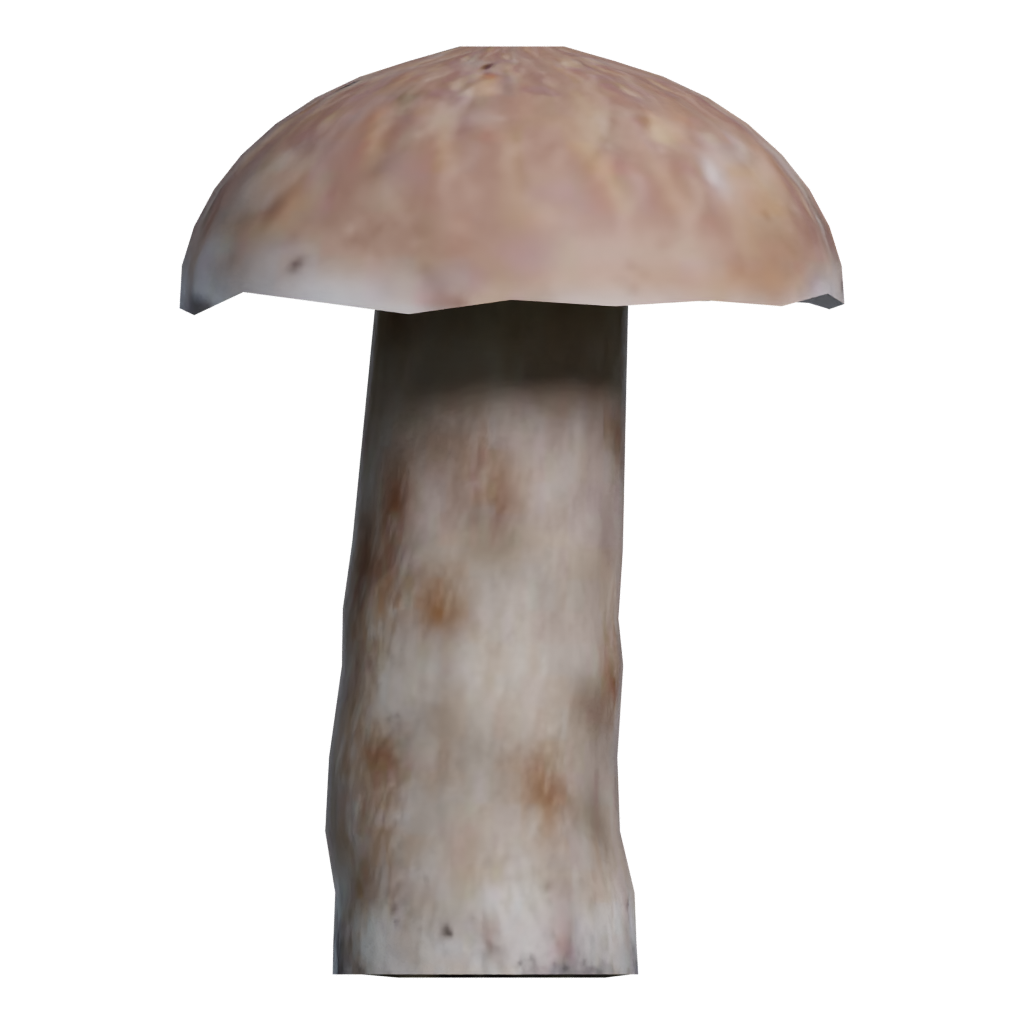 Front view of the Mushroom 00017 3D model
