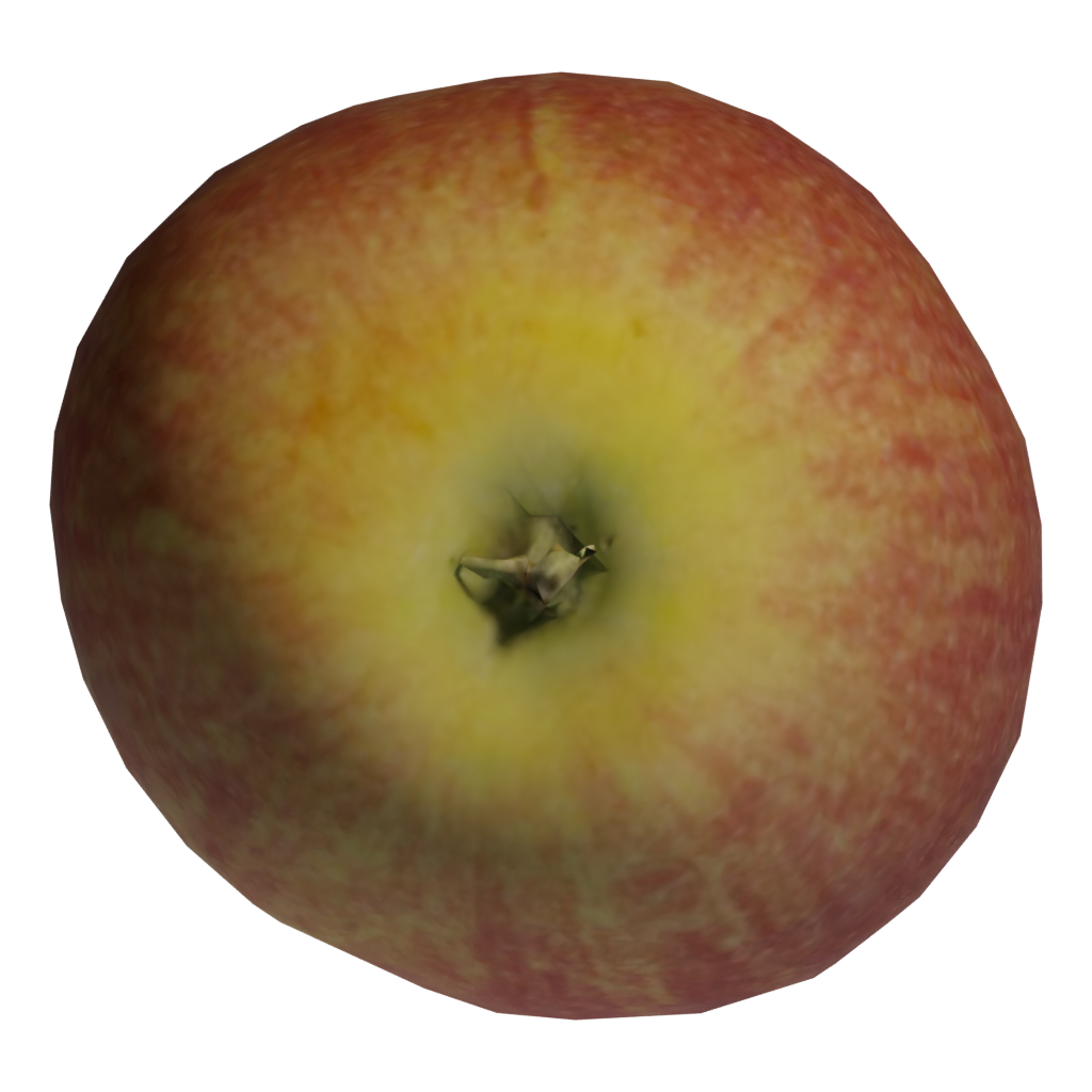 Bottom view of the Red Apple 3D model