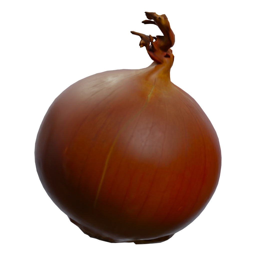 Right view of the Yellow Onion 3D model