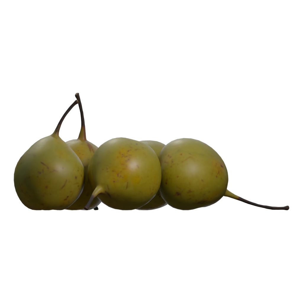 Left view of the Pears Asian 3D model