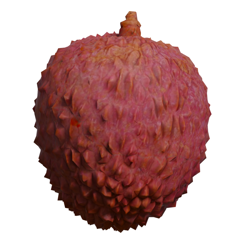 Front view of the Lychee 3D model