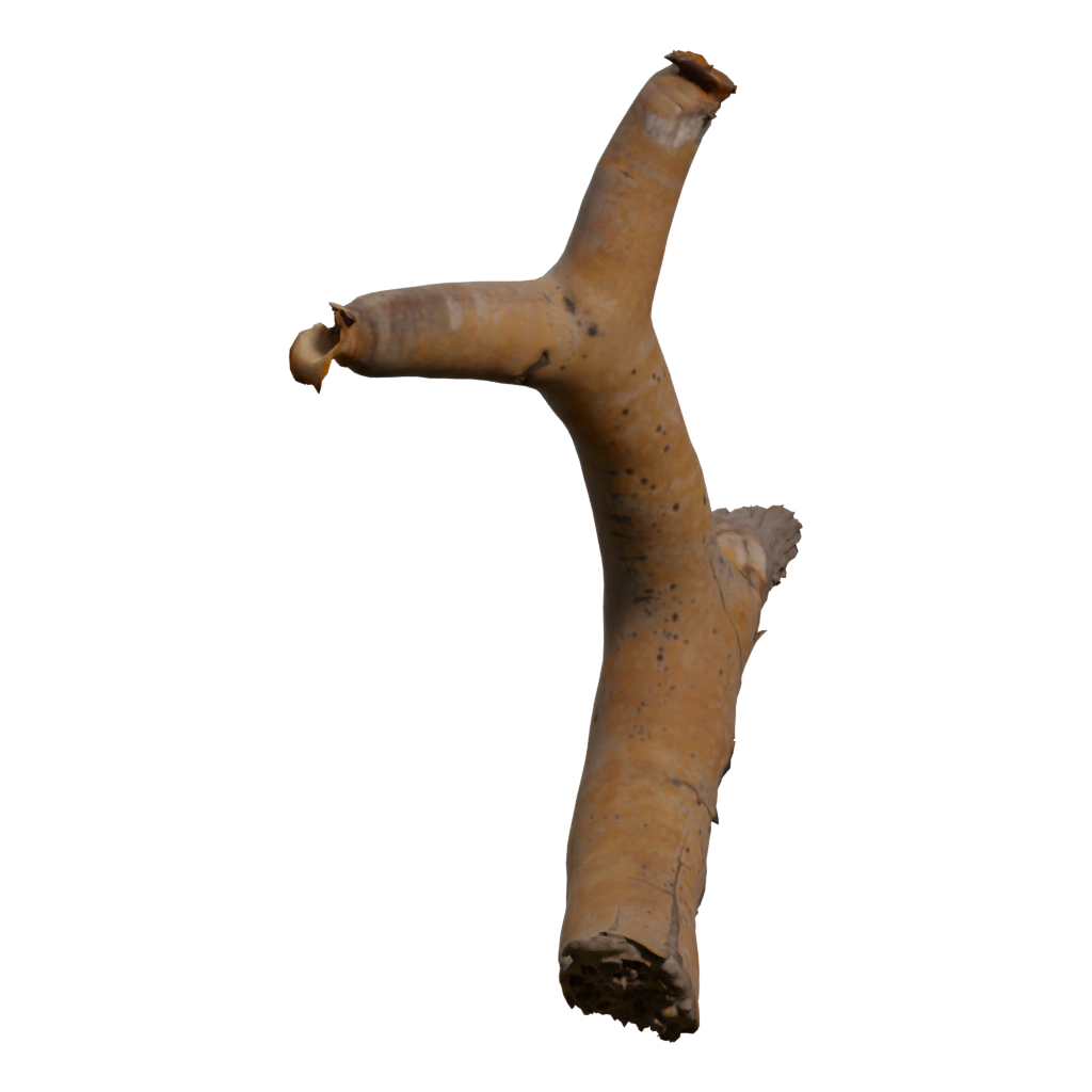 Left view of the Dead Quiver Branch 3D model
