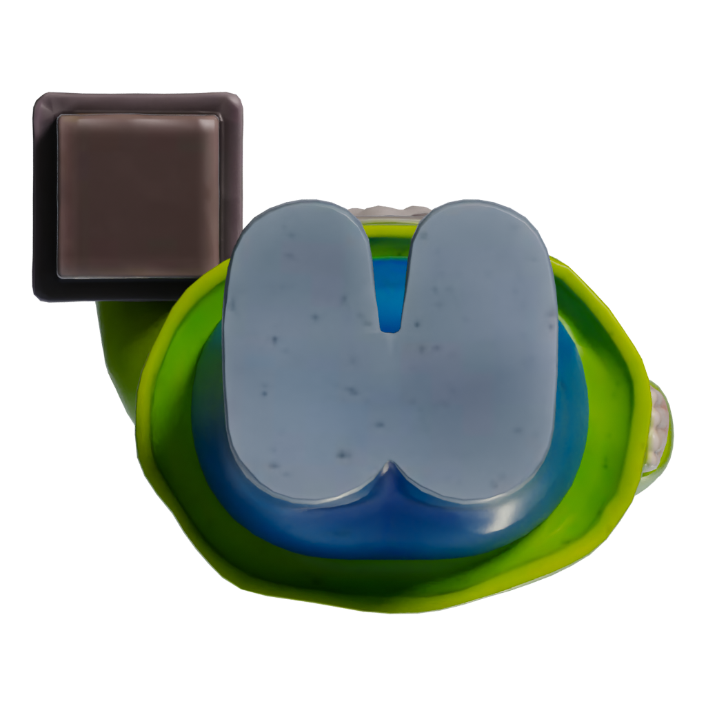 Bottom view of the Garden Gnome 3D model
