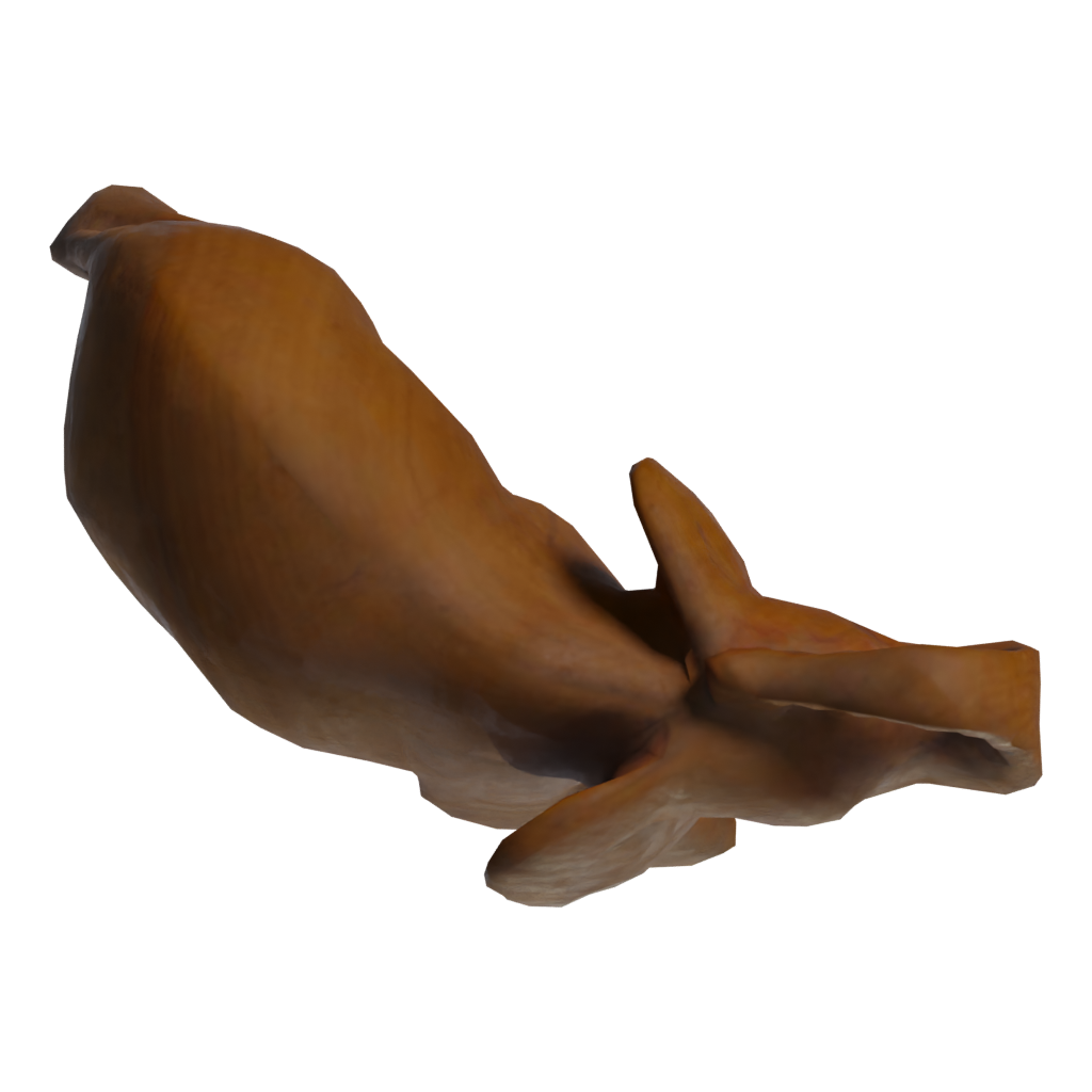 Top view of the Carved Wooden Elephant 3D model
