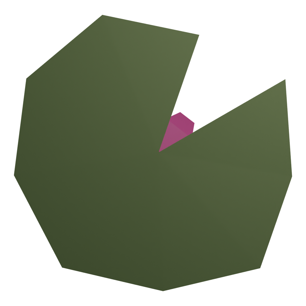 Bottom view of the Water Lily 3D model