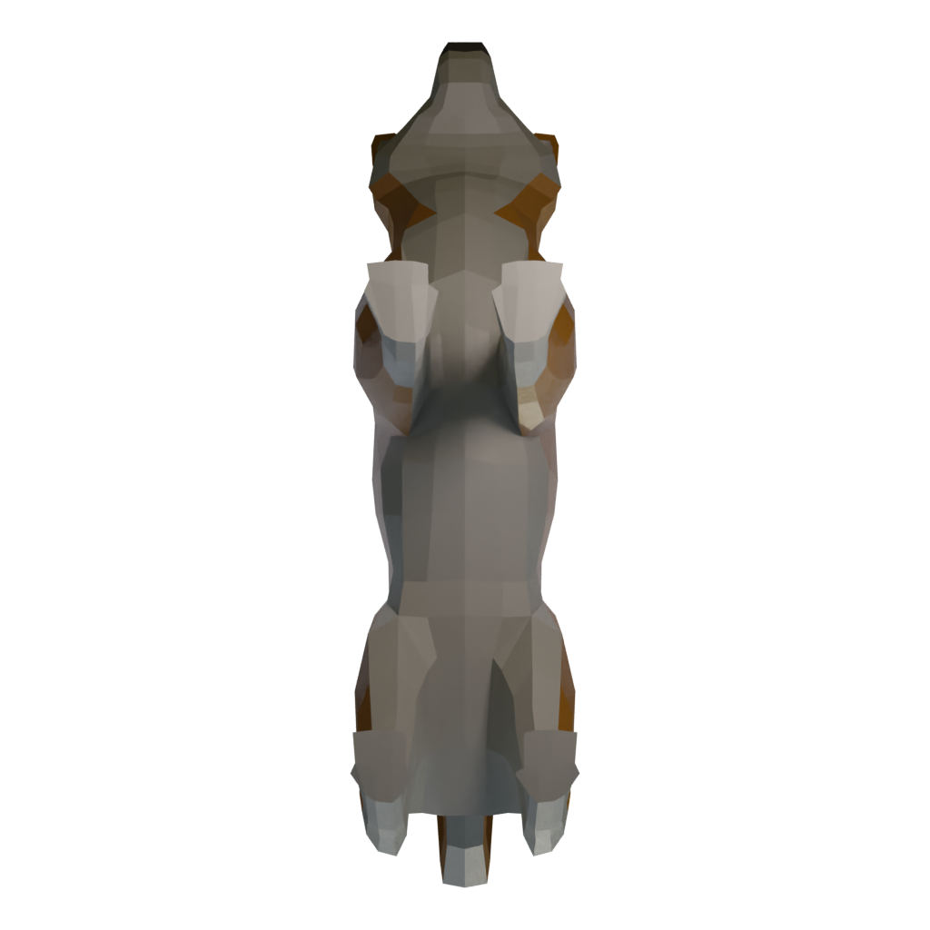 Bottom view of the Dog 3D model