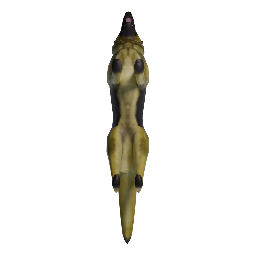 Bottom view of the Dog 3D model