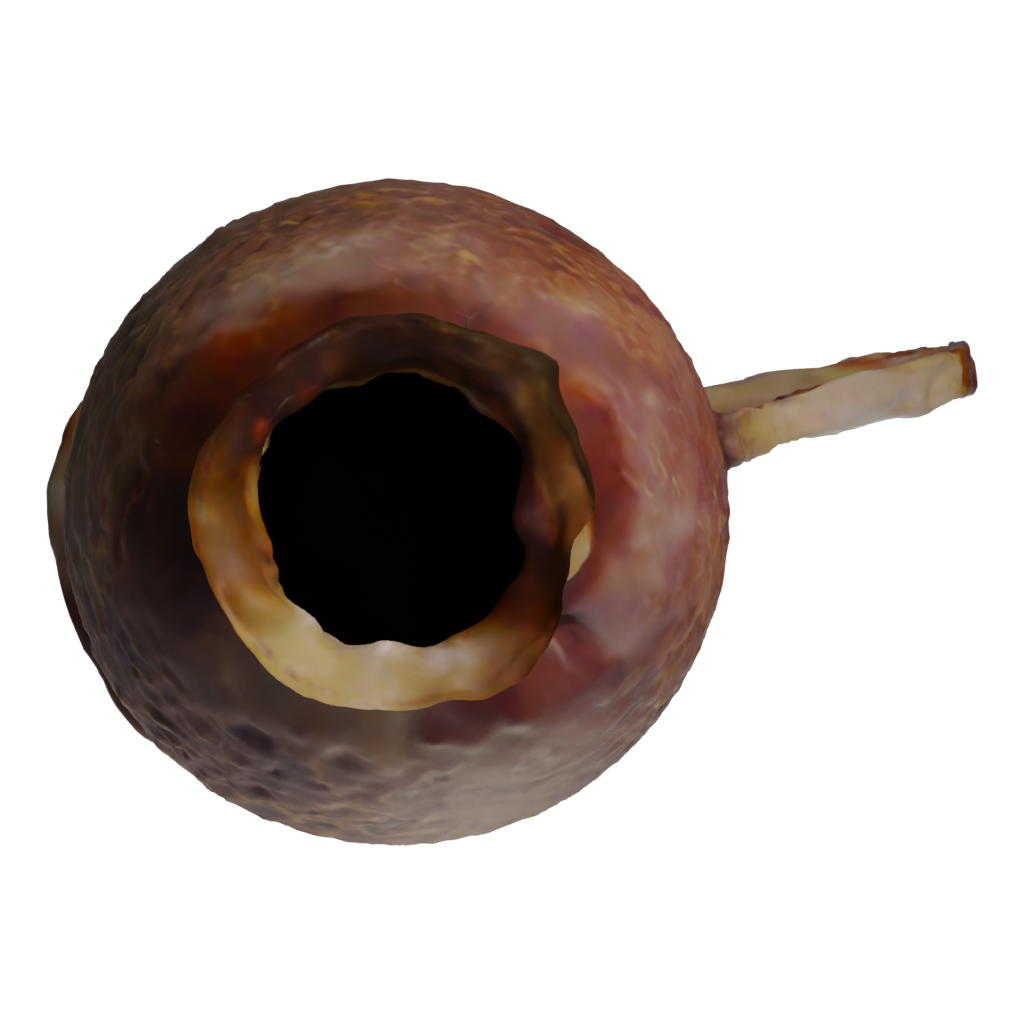 Bottom view of the Jug Obj Mb Ma Fbx Texture Low Poly Game Ready UV Unwrapping 3D model