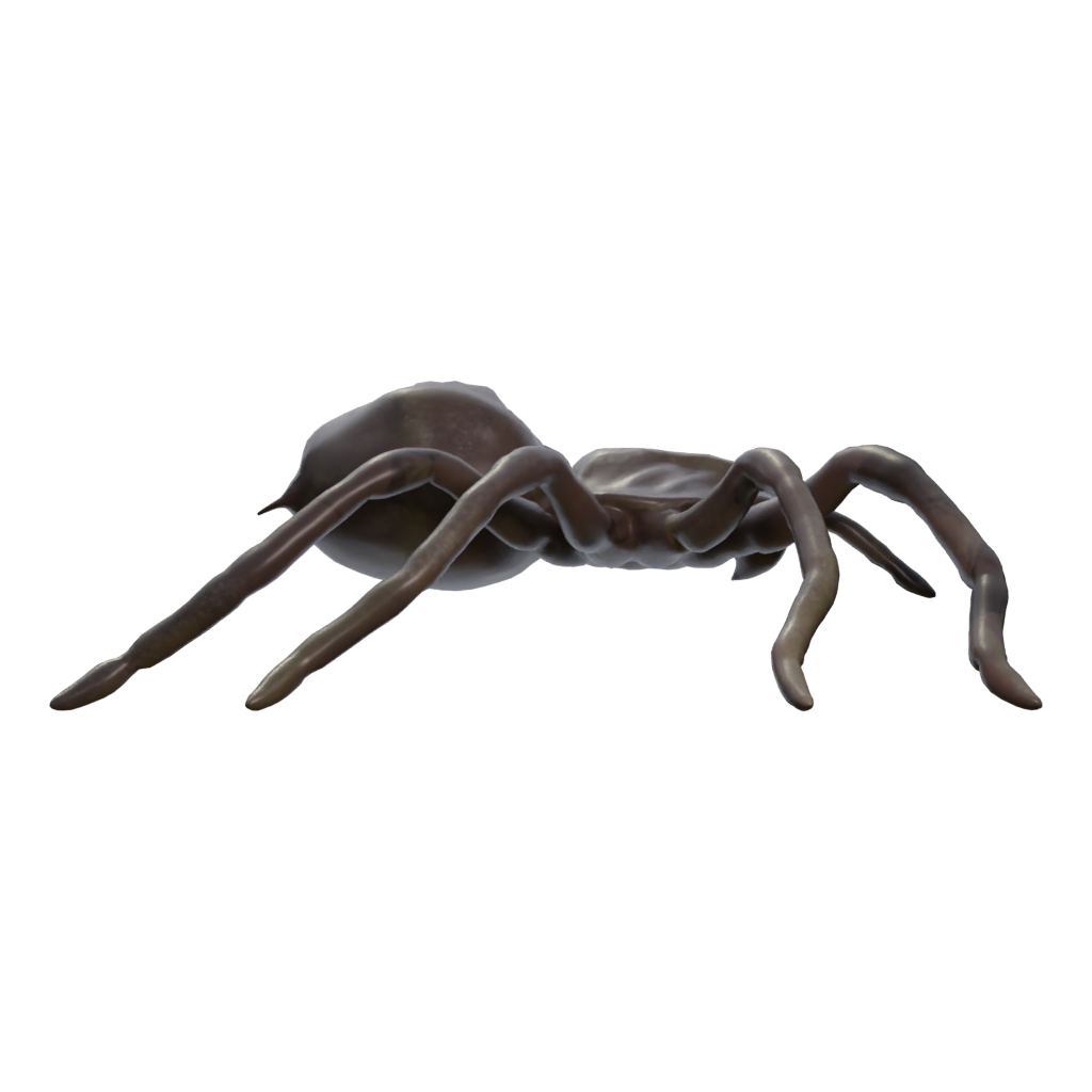 Right view of the Spider Low Poly 3D model