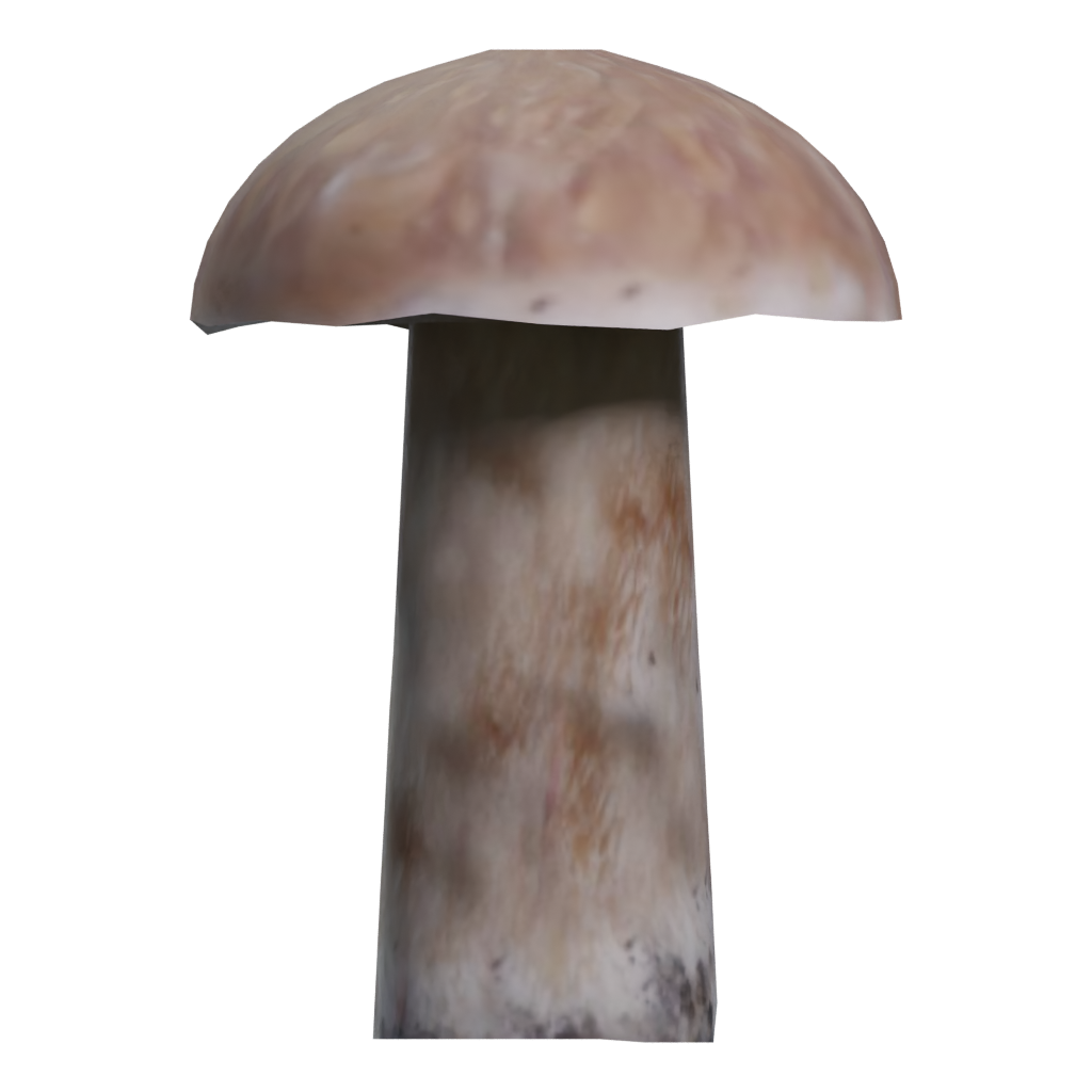 Left view of the Mushroom 00017 3D model
