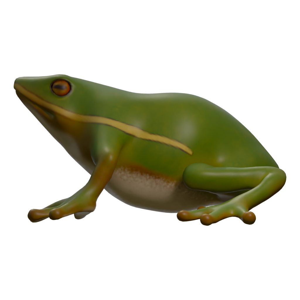 Left view of the Frog 3D model