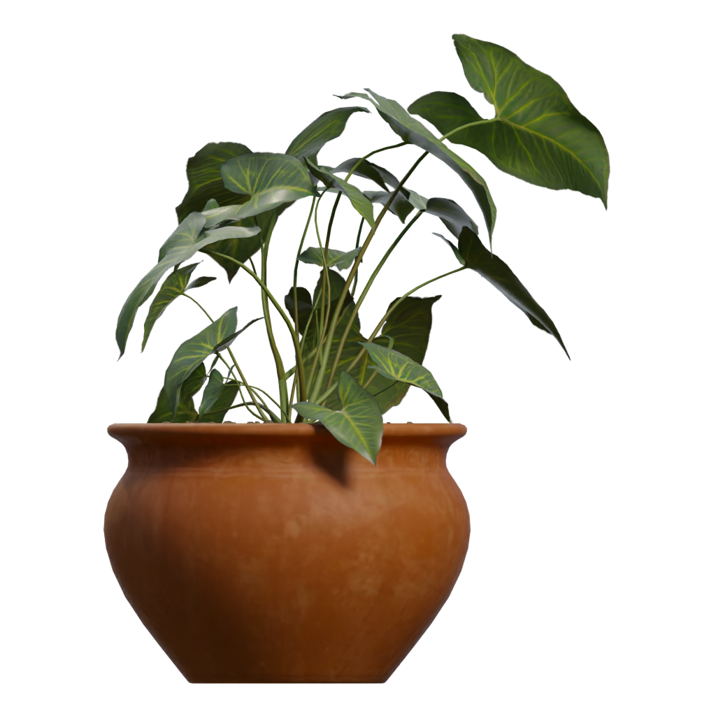 Left view of the Potted Plant 3D model