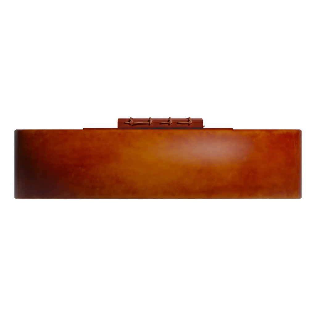 Bottom view of the Ukulele 3D model
