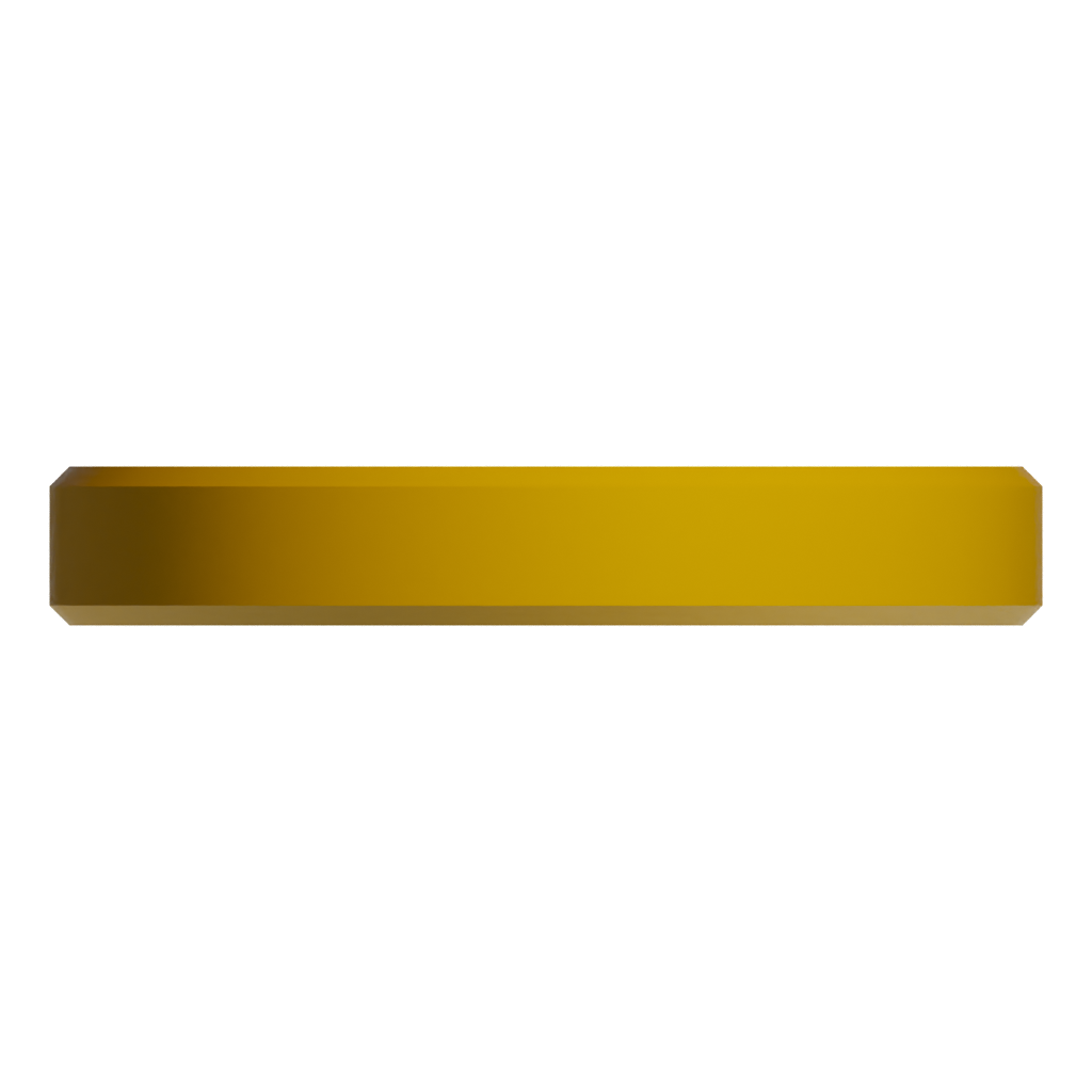 Bottom view of the Gold Coin 3D model