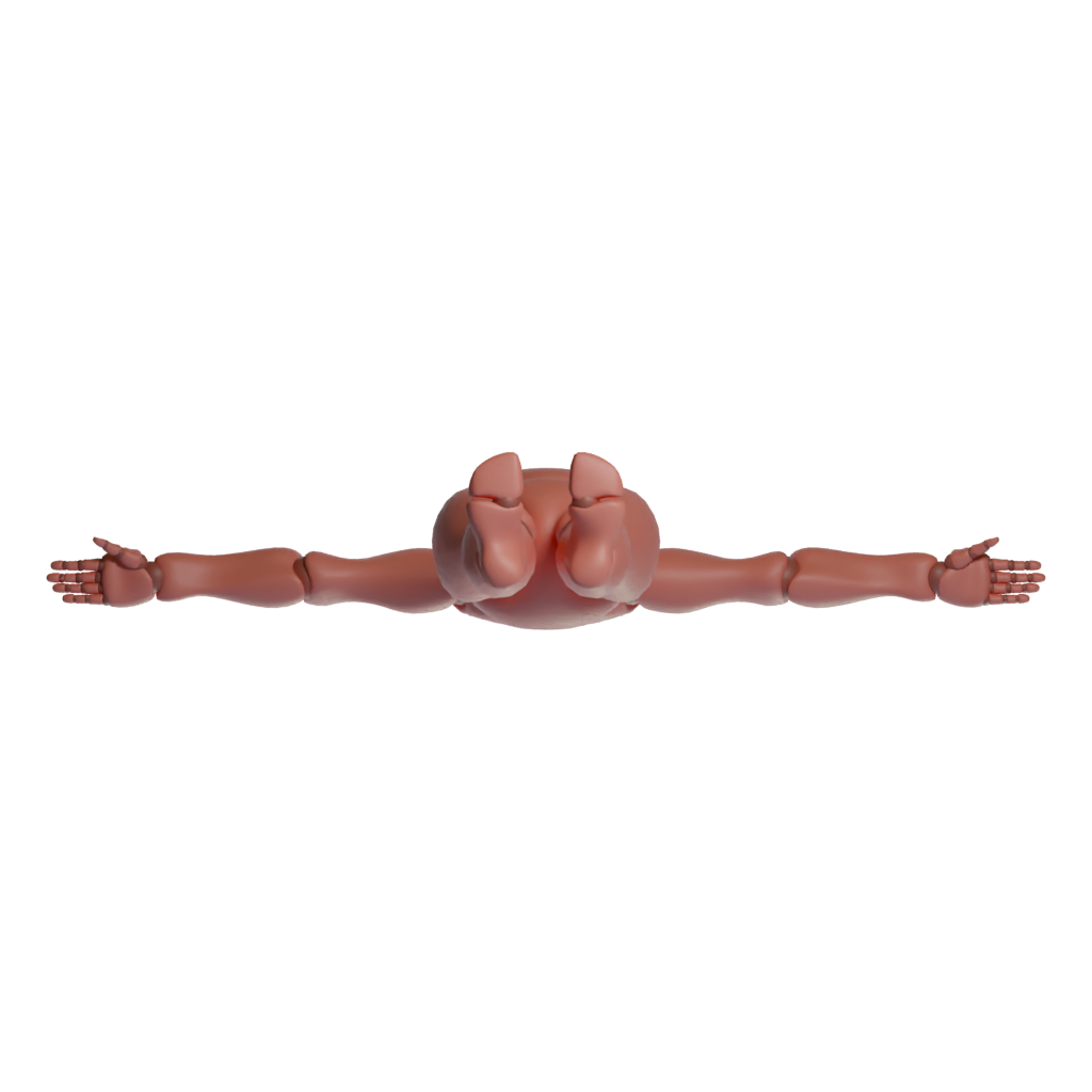 Bottom view of the X Bot 3D model