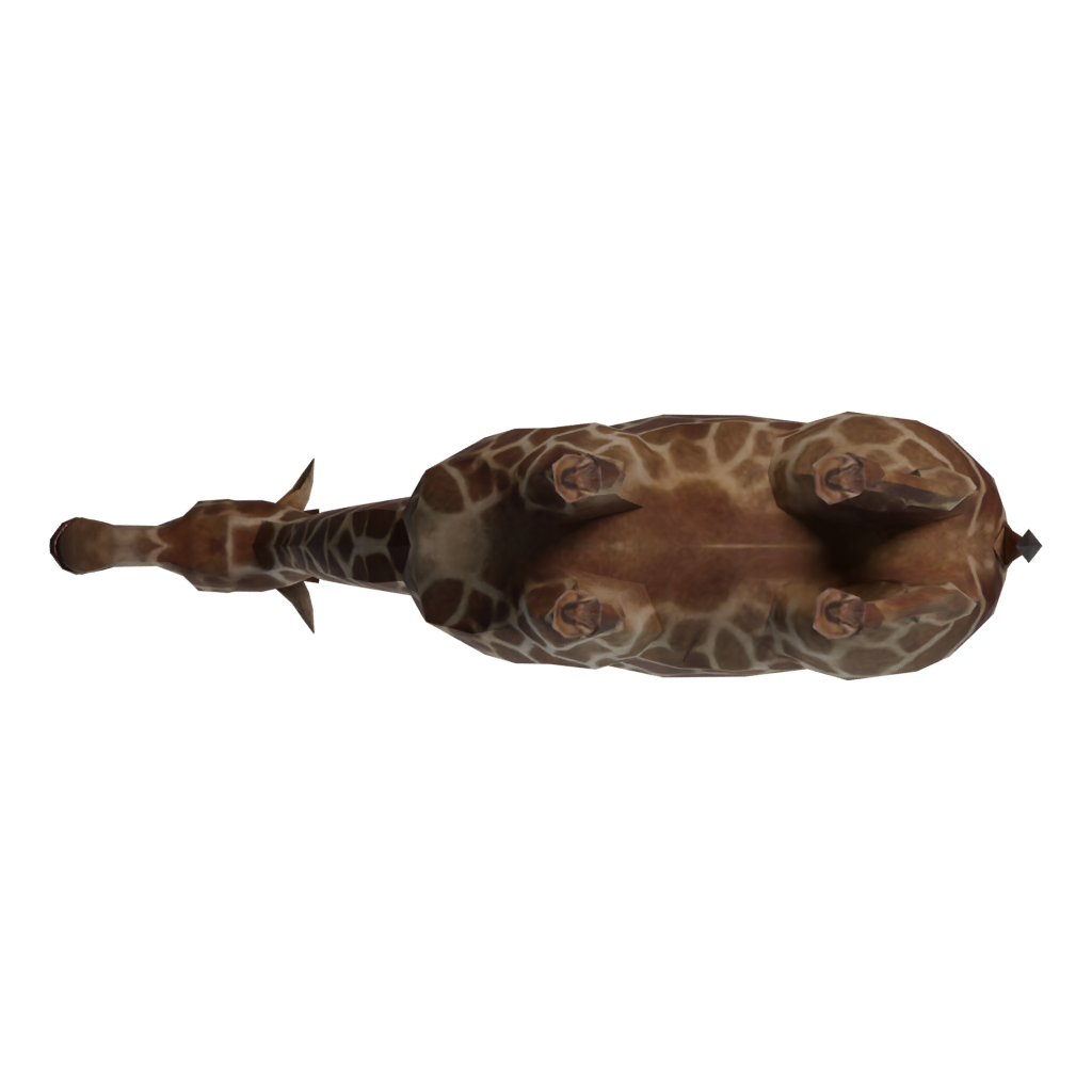 Bottom view of the Rigged Giraffe 3D model