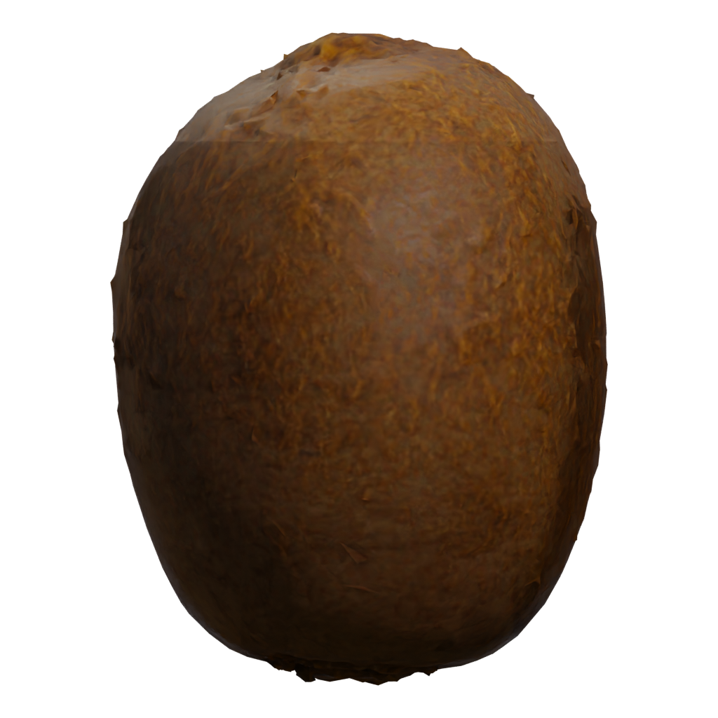 Right view of the Kiwi 3D model