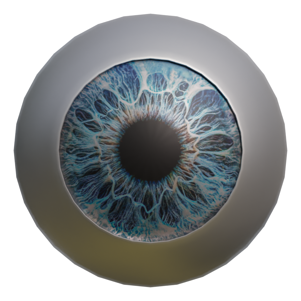 Front view of the Eye 3D model