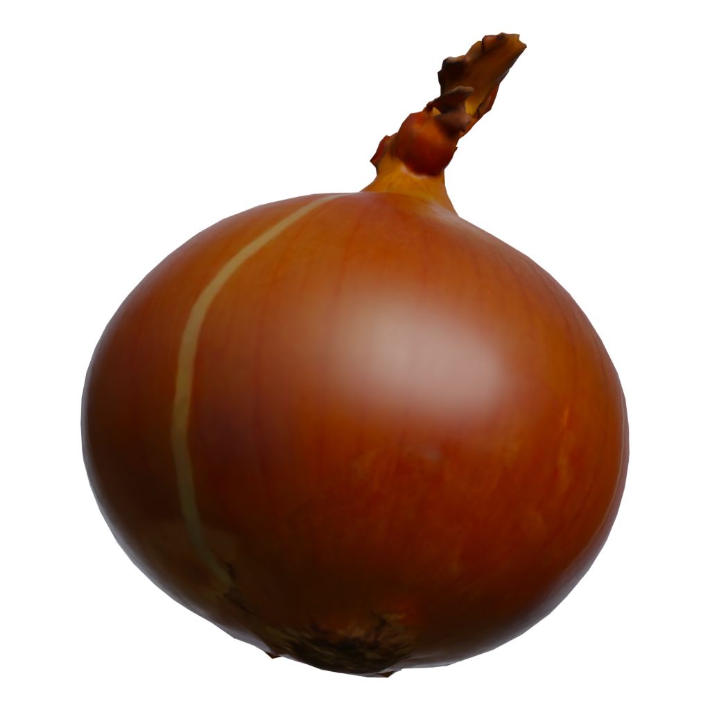 Back view of the Yellow Onion 3D model