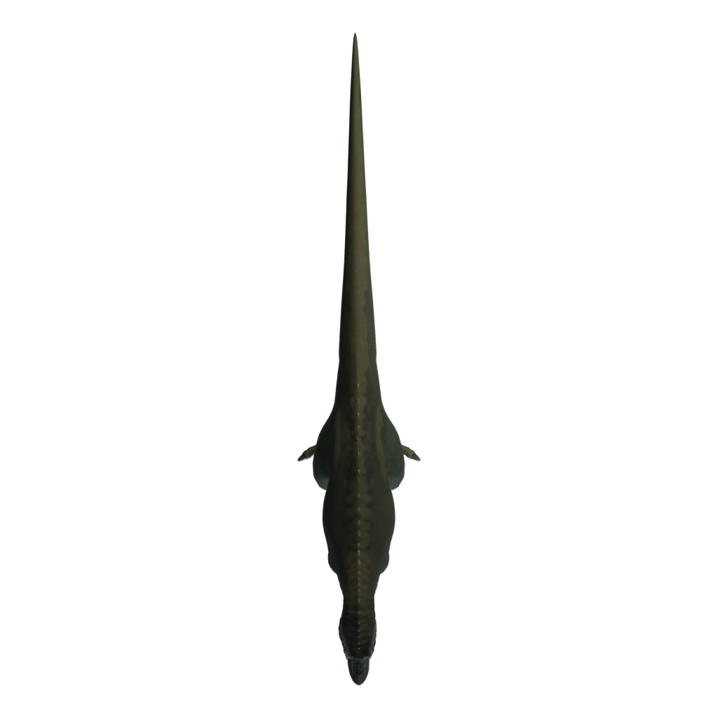 Top view of the T Rex 3D model