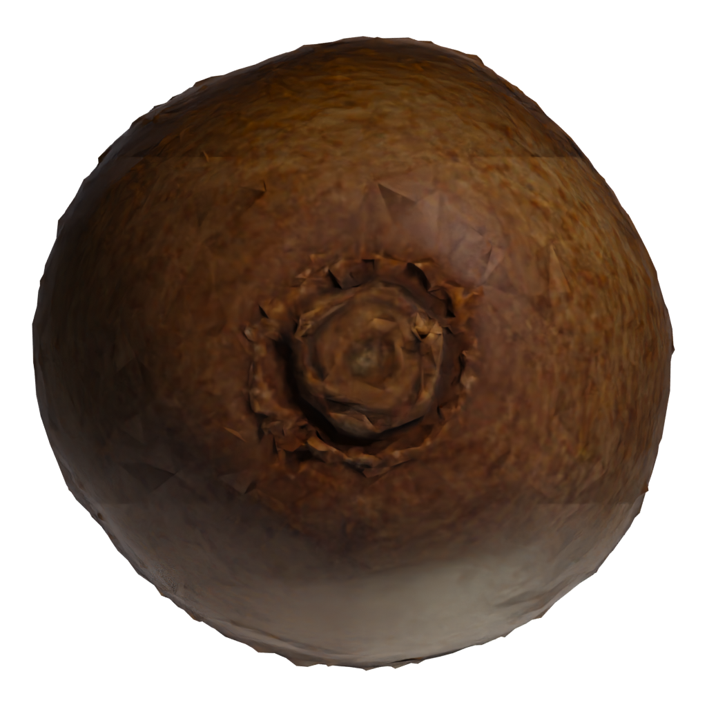 Bottom view of the Kiwi 3D model