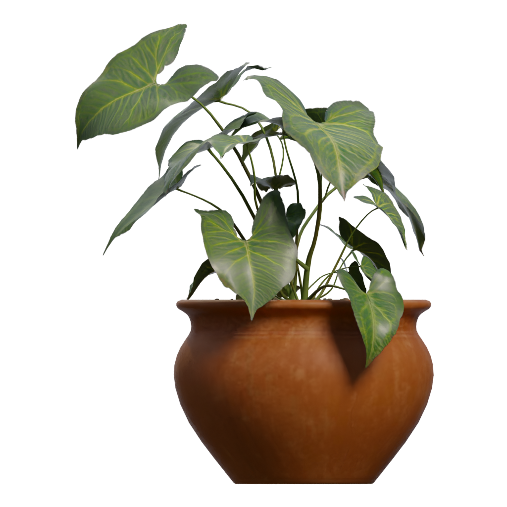 Right view of the Potted Plant 3D model