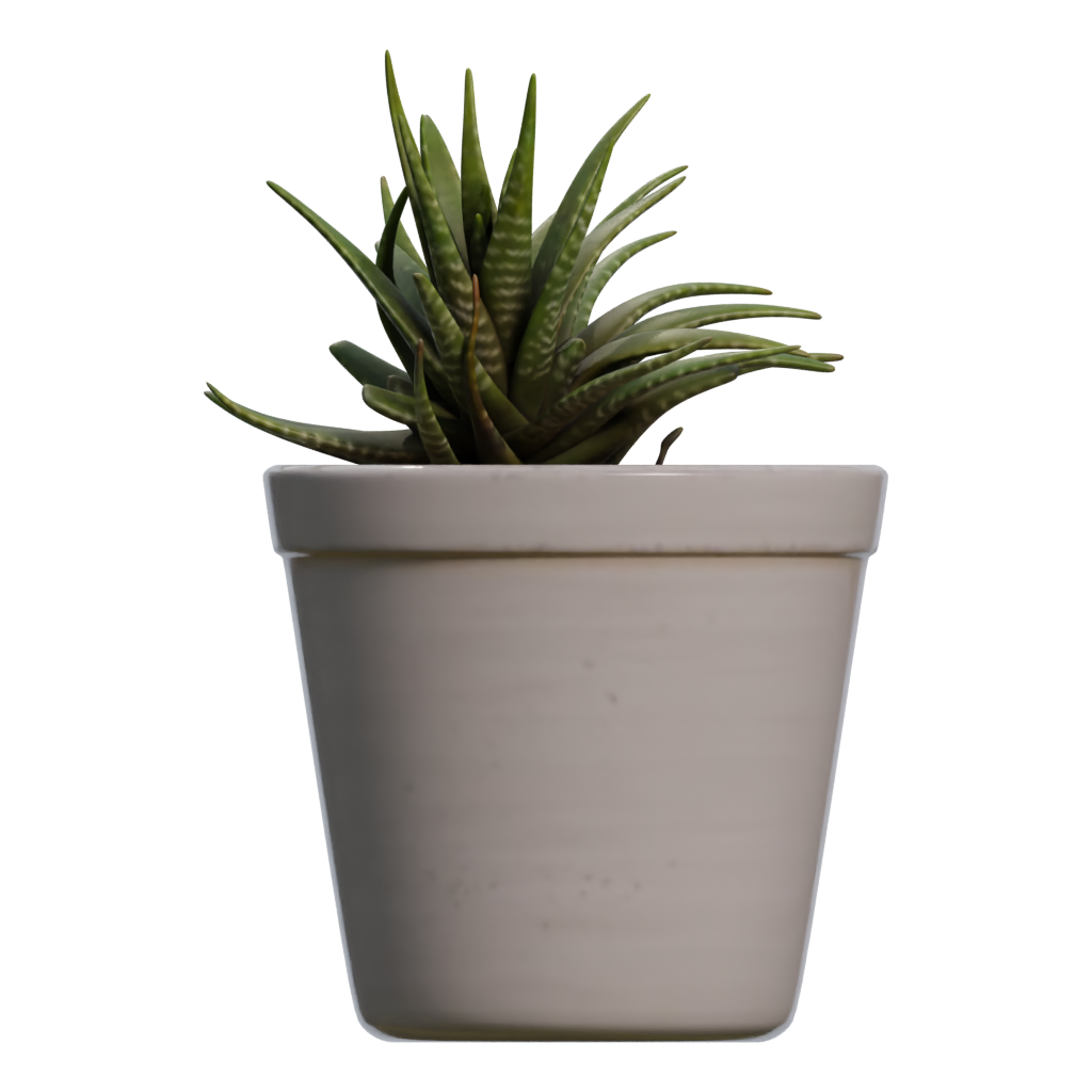 Left view of the Potted Plant 3D model