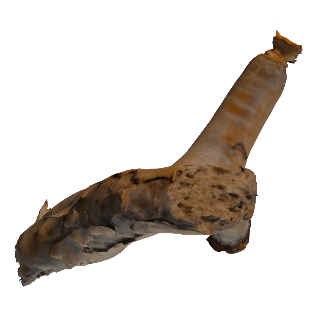 Bottom view of the Dead Quiver Branch 3D model
