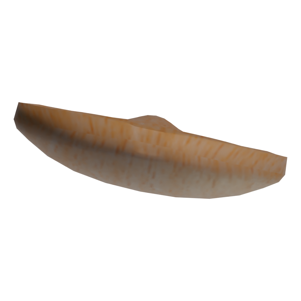 Bottom view of the Wooden Spoon 3D model