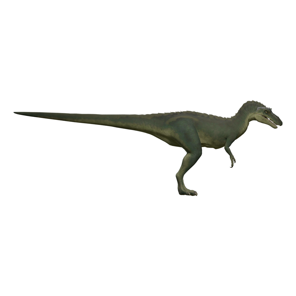 Right view of the T Rex 3D model