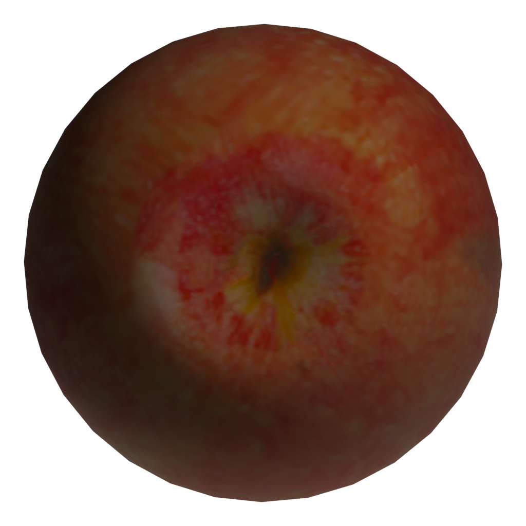 Bottom view of the Apple 3D model