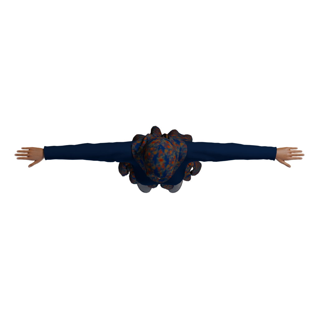 Top view of the Hejab 3D model